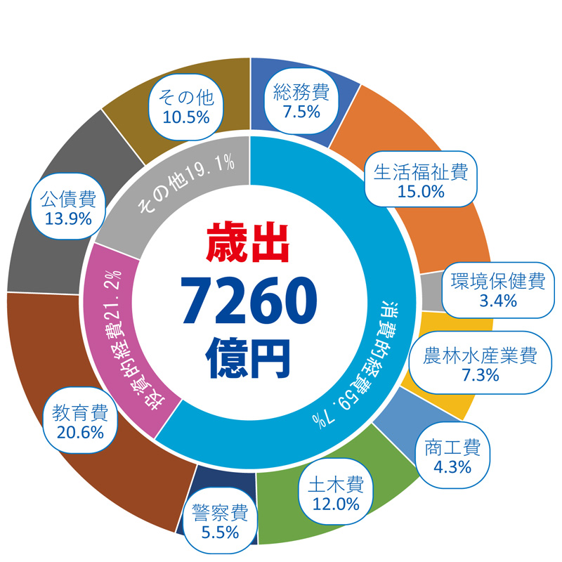 予算決算委員会（総括質疑）