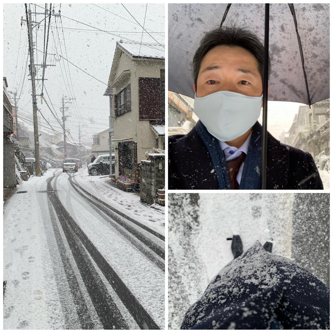 朝から降雪