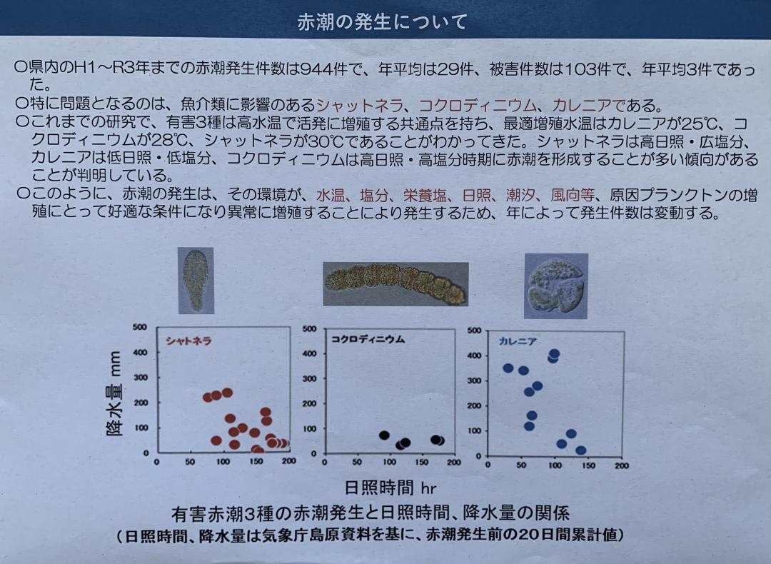 赤潮対策